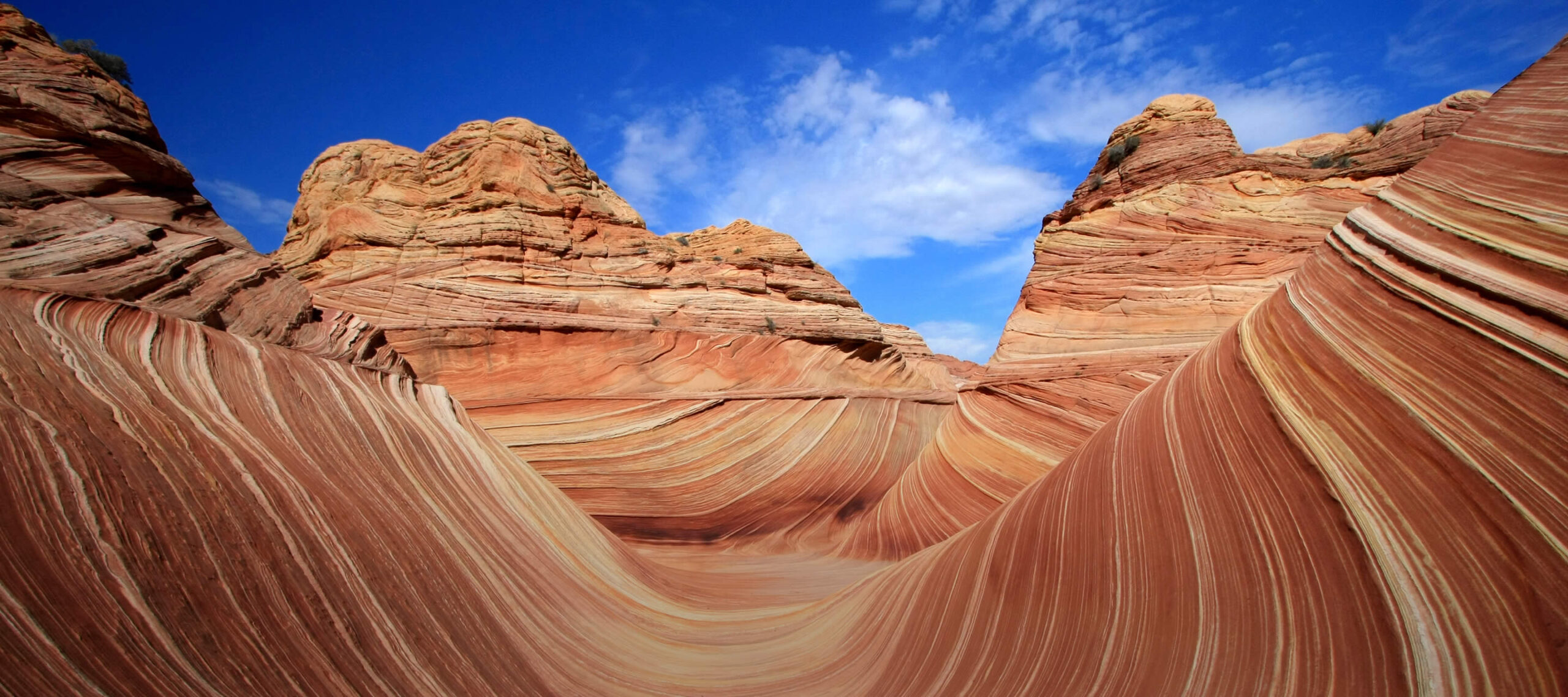 10 Top Tourist Attractions in Arizona