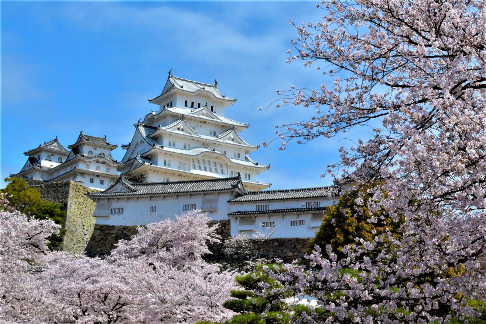 10 Top Tourist Attractions in Japan