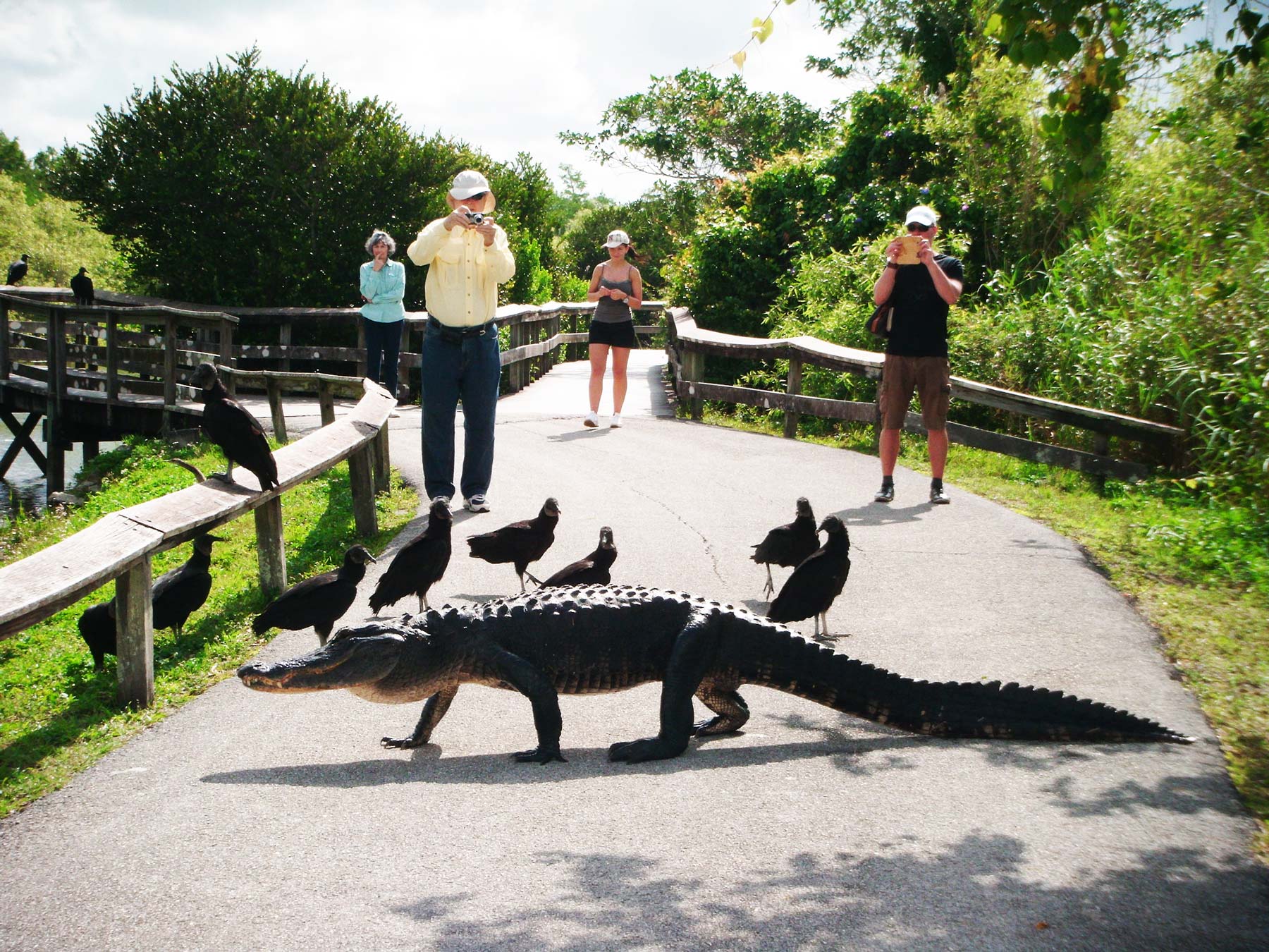 The 17 Best National & State Parks of Florida